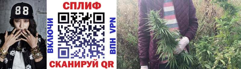 Бошки Шишки план  Жирновск 